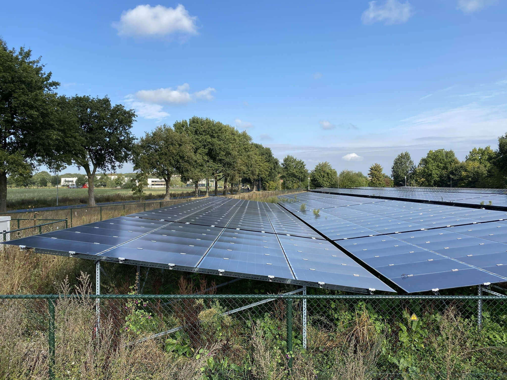 Wat maakt de zonneweide ecologisch?