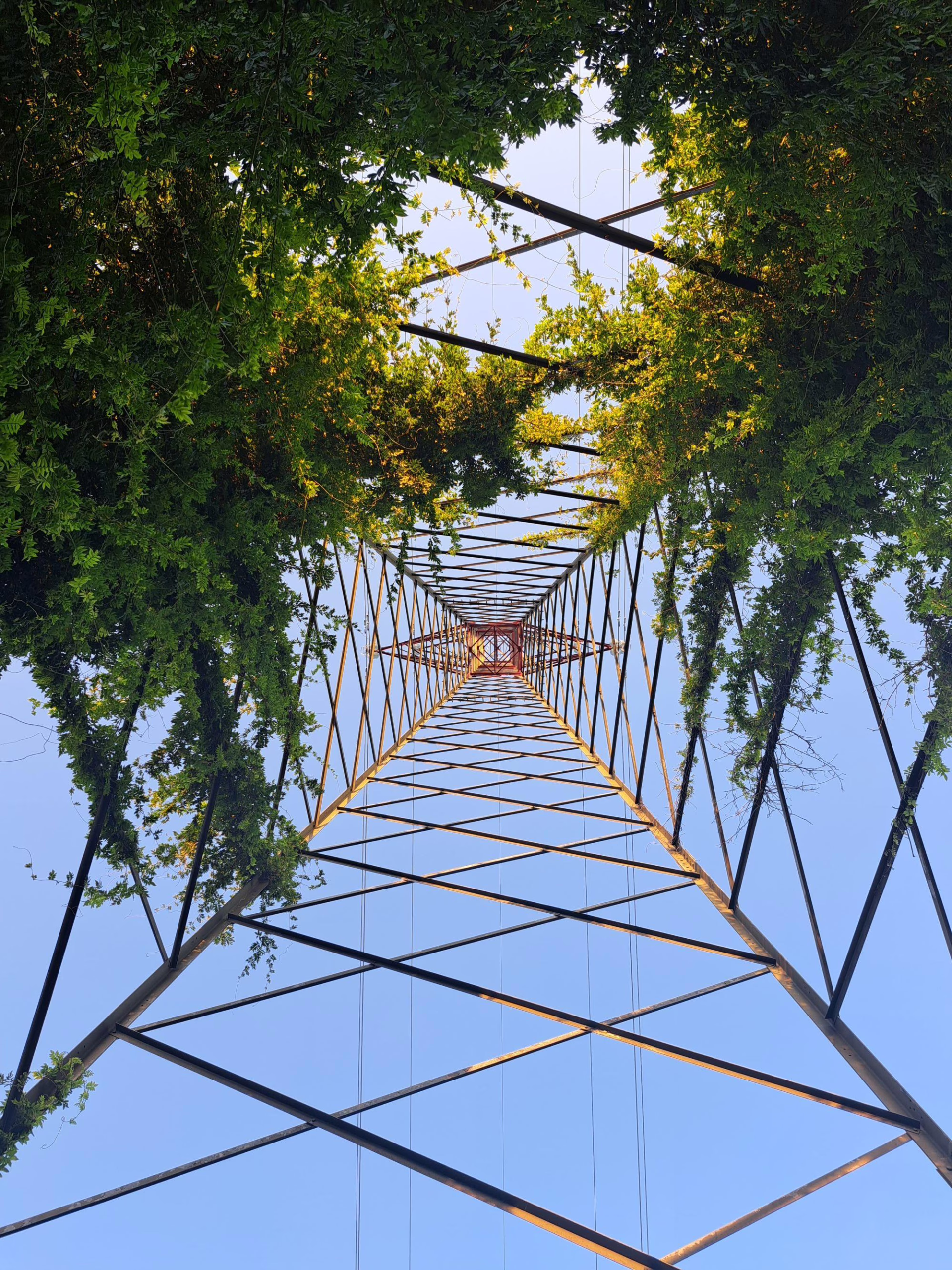Netcongestie