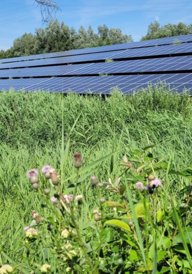 Omwonenden profiteren mee