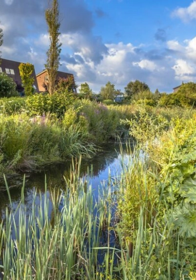 Noord-Holland kiest voor Groen
