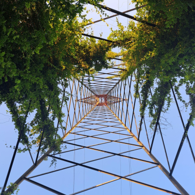 Congestieverzachter: voorrang op de wachtrij