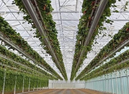 Energie slim benutten op z’n ‘Havecons’: delen wat je zelf niet nodig hebt