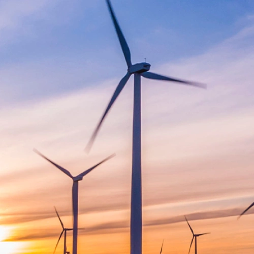 Producten & diensten