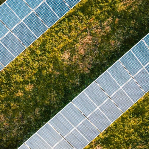 Sell renewable energy direct to local business.