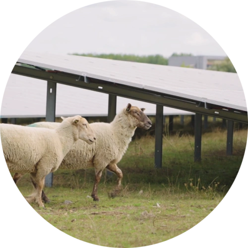 Dubbel ruimtegebruik