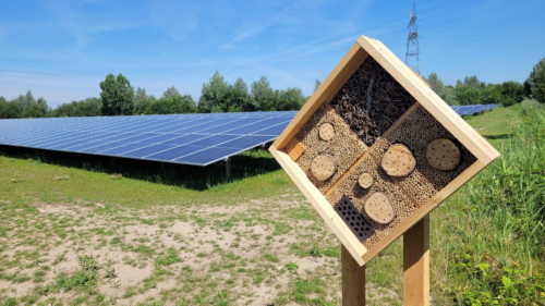 Aandacht voor biodiversiteit