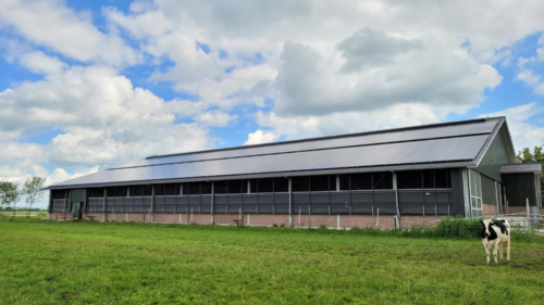 Verduurzamen op eigen terrein