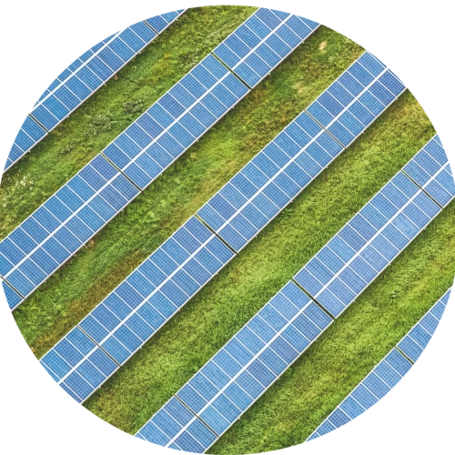 Inspiratiesessie: Lokaal en groen inkopen door zelflevering