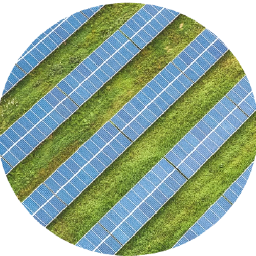 Inspiratiesessie: Lokaal en groen inkopen door zelflevering